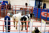 Longtown (17)